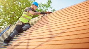 Best Roof Moss and Algae Removal  in Churchill, PA